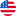 USA Website